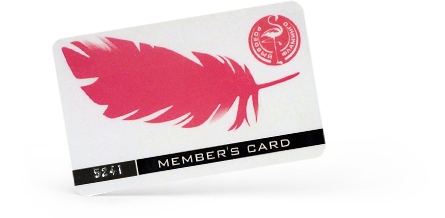 Клубная карта казино «Розовый фламинго»